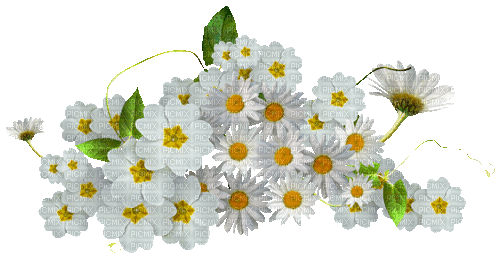 Frühlingsblumen - GIF animé gratuit