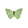 green moth - бесплатно png