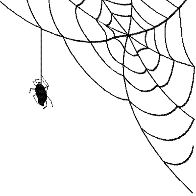 spider webs - besplatni png