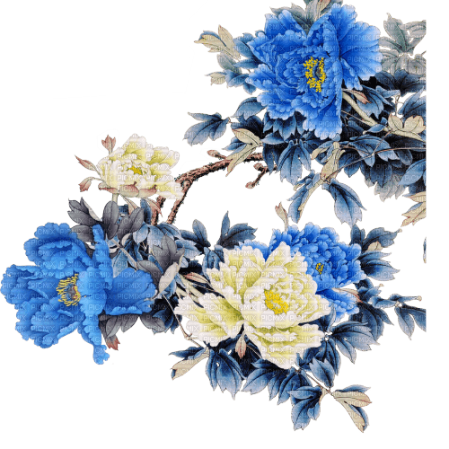 blommor-flowers--blue--blå - gratis png