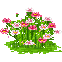 flowers gif katrin - Nemokamas animacinis gif