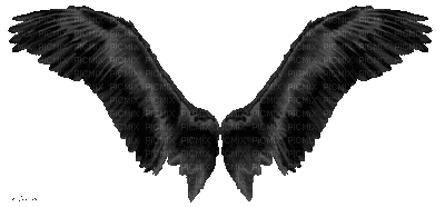 Flügel - Free animated GIF