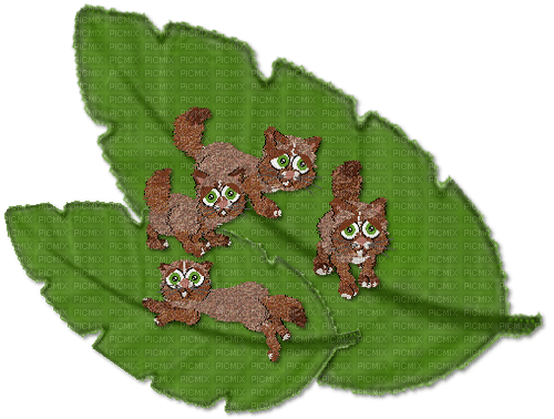 Petz Cats on Leaves - zdarma png