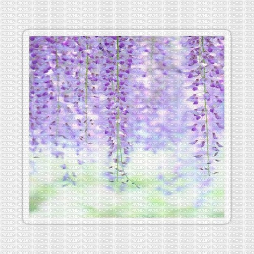 Background Wisteria - 免费PNG