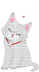 CAT - 無料のアニメーション GIF