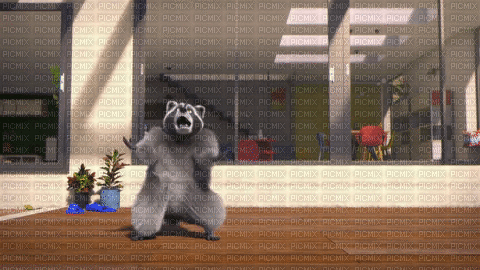raccoon fun - GIF animado grátis