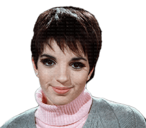 Liza Minnelli milla1959 - darmowe png