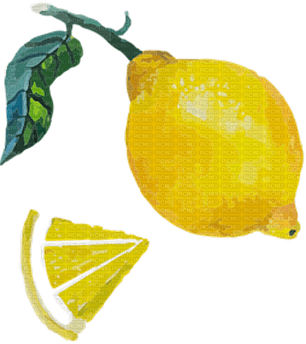 dolceluna summer deco lemon watercolor png - nemokama png