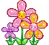 flowers gif - Darmowy animowany GIF