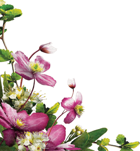 Flores del jardín - PNG gratuit