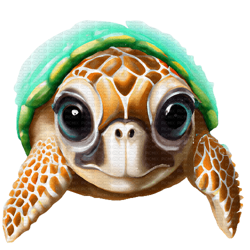 Tortue - 無料png