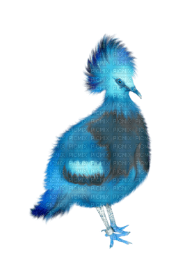 Kaz_Creations Blue Deco Bird Colours - png grátis