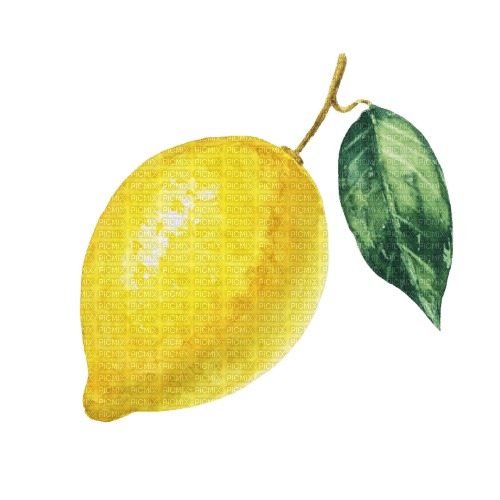 kikkapink lemon fruit deco png - PNG gratuit