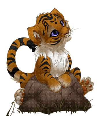 Bébé tigre sur un rocher - png ฟรี