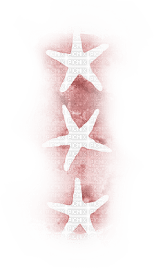soave deco summer starfish white pink - zdarma png
