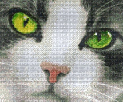 les yeux du chat - besplatni png
