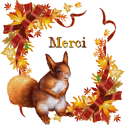 Merci Squirrel - Бесплатный анимированный гифка