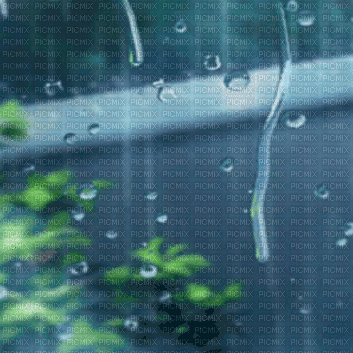 window - Animovaný GIF zadarmo