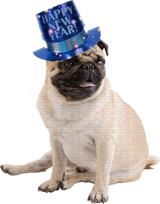 Kaz_Creations Dog Pug  Happy New Year - Zdarma animovaný GIF