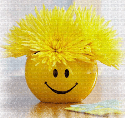 smile - Δωρεάν κινούμενο GIF