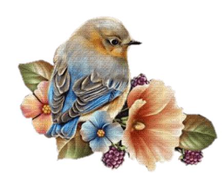Kaz_Creations Bird Flowers Fleurs Deco - PNG gratuit