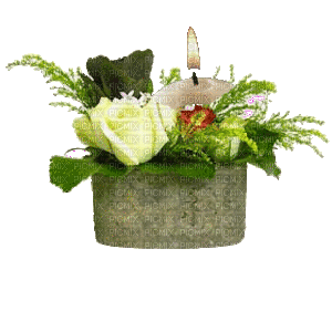 flores con vela gif - GIF animado grátis