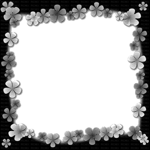 frame cadre black white  flowers sunshine3 - GIF animado grátis