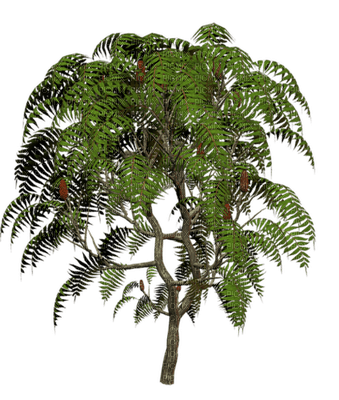 Kaz_Creations Trees Tree - besplatni png