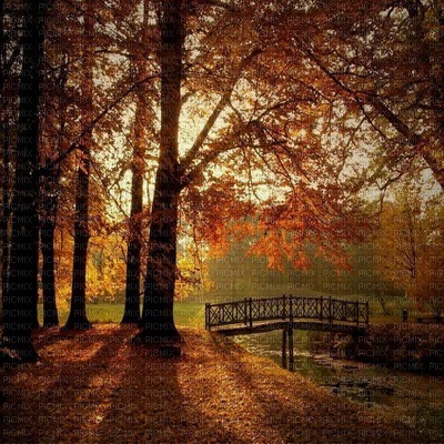 Herbst automne autumn - png ฟรี