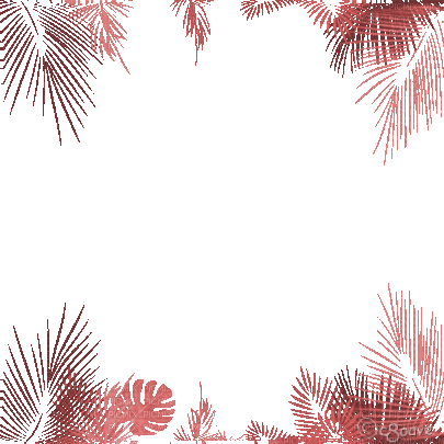soave frame animated leaves tropical palm summer - GIF animasi gratis