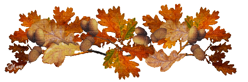 Herbst, Eichenblätter, Eicheln - Бесплатный анимированный гифка