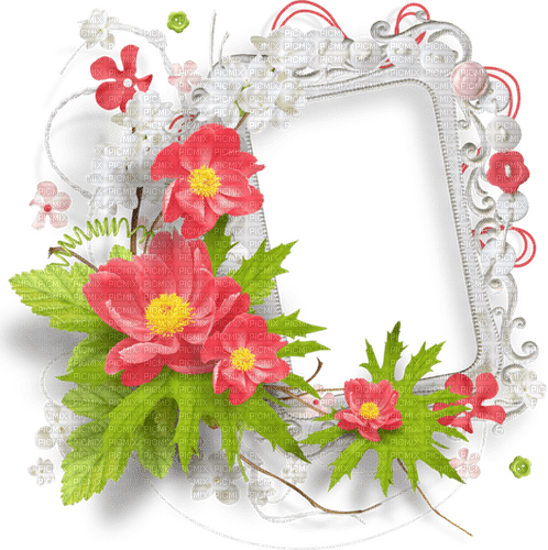 white frame with flowers - безплатен png