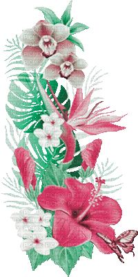 soave deco summer animated branch tropical flowers - Besplatni animirani GIF