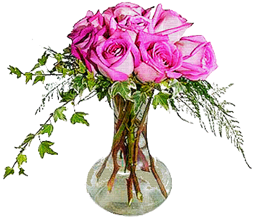ani- blommor-vas- rosa - GIF animado grátis
