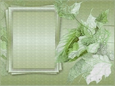 minou-bg frame-green leaves - ücretsiz png