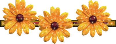 Flowers orange bp - GIF animé gratuit