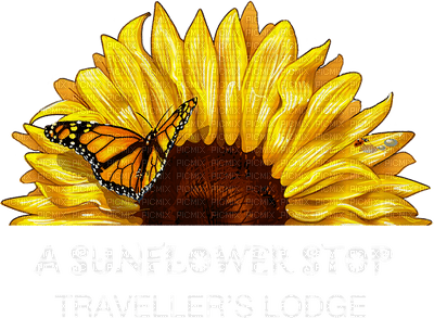 sunflowers bp - kostenlos png