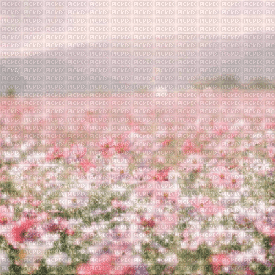 Pink Flowery Field - Ingyenes animált GIF