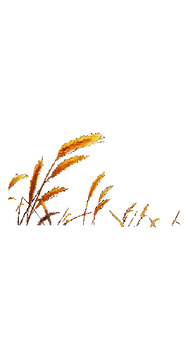 Трава - Gratis animeret GIF