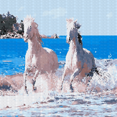 horse milla1959 - Free animated GIF