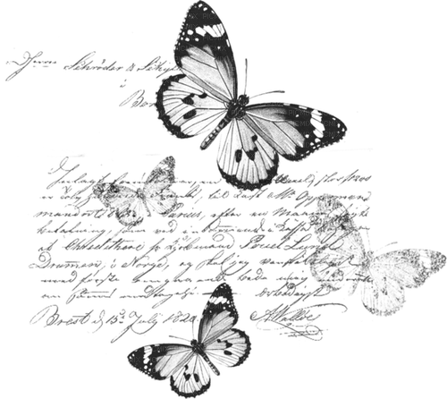 vintage butterfly text scrap black dolceluna - PNG gratuit