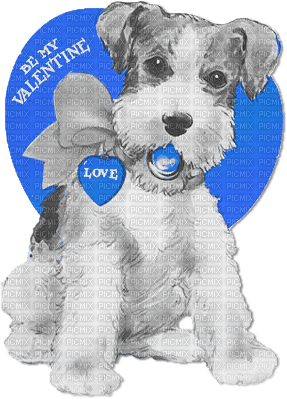 soave valentine deco text heart animals dog heart - 無料png
