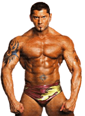 Batista catcheur wwe - PNG gratuit