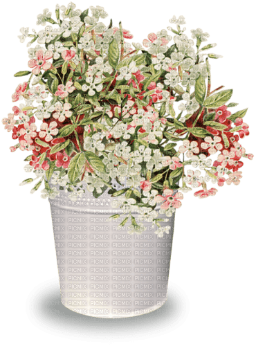 Corbeille Fleur blanc :) - png grátis