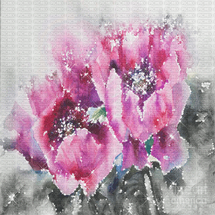 kikkapink texture spring flowers pastel background - Gratis geanimeerde GIF