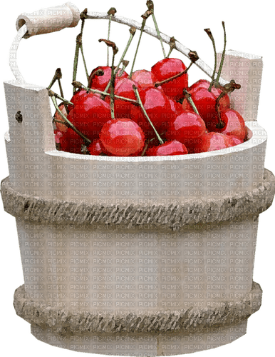 cherry bucket Bb2 - gratis png