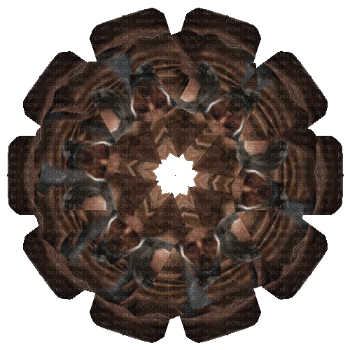Brown Circle - GIF animado grátis