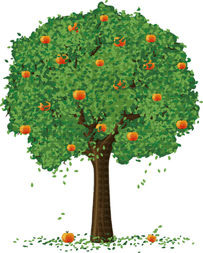 apple tree Bb2 - ilmainen png