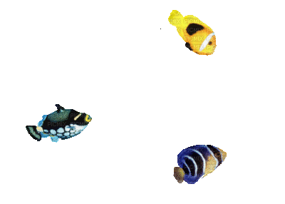 pesci - Darmowy animowany GIF