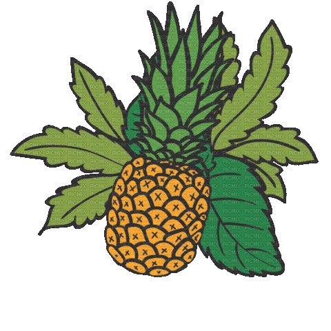 Pineapple - Bogusia - Animovaný GIF zadarmo